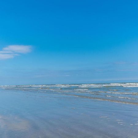 Perfect Location Spacious Yard Coffee Bar At This Lovely Beach Home Galveston Ngoại thất bức ảnh